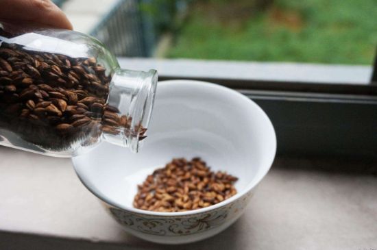 大麥茶上火嗎，喝大麥茶會不會上火？