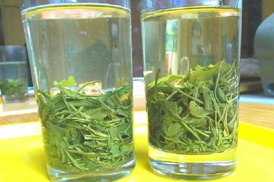 茶葉為什么不能亂送人，買茶葉一次送一盒還是兩盒