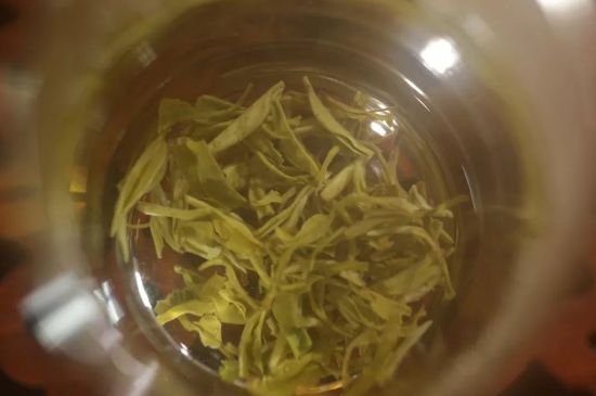 碧螺春正確泡法和飲用，碧螺春茶泡茶方法與溫度