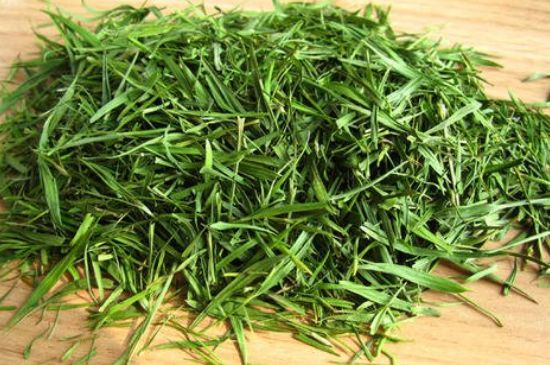 哪類(lèi)人不適合喝石竹茶，石竹茶的功效與禁忌