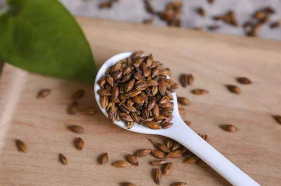 大麥茶上火嗎，喝大麥茶會不會上火？