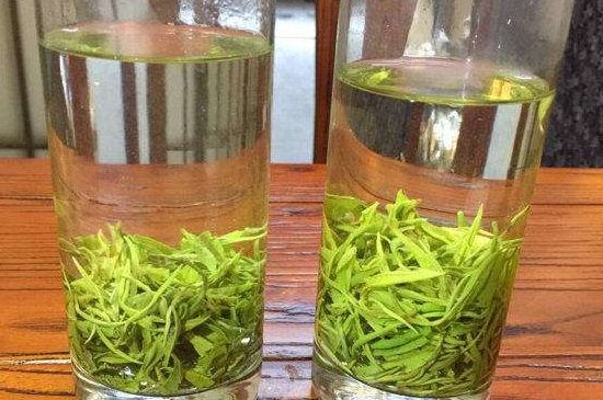 黃金茶的功效及禁忌癥，黃金茶有什么副作用嗎？