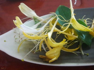 喝茶治口臭嗎，什么茶治口臭好？