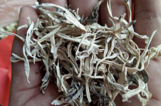 麗江雪茶的禁忌，白雪茶的副作用