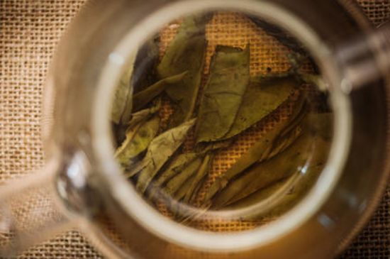 苦丁茶副作用，苦丁可以經(jīng)常喝嗎？