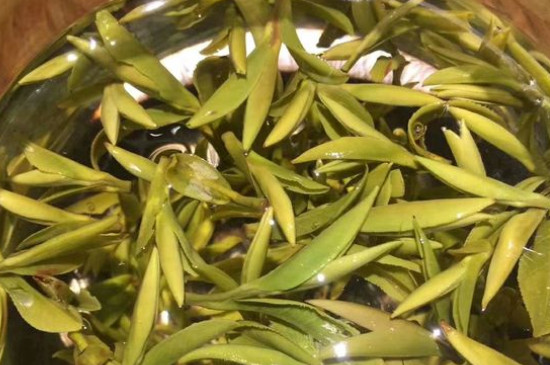 八大茶系都有哪幾種，八大茶系都是什么名字