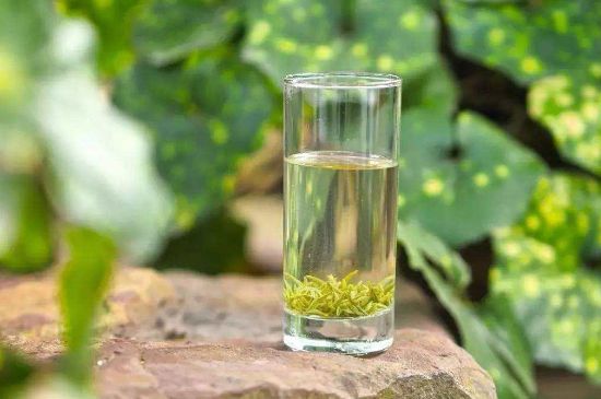 碧螺春沖泡三要素，碧螺春怎么泡才正確？