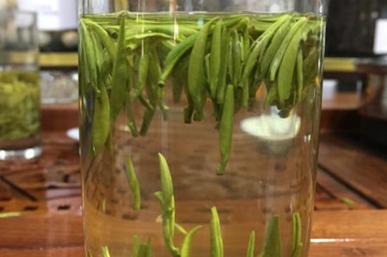 雀舌茶的副作用，雀舌茶什么人不能喝？