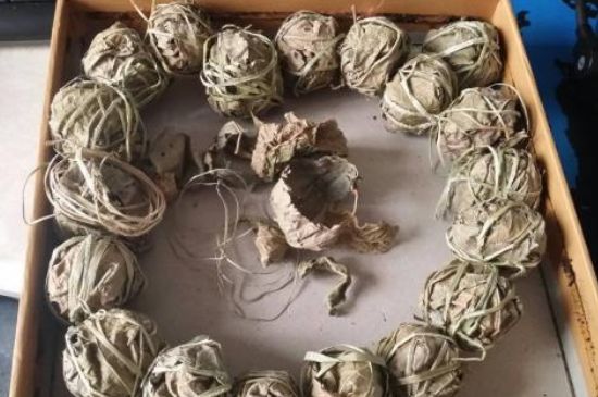 鷓鴣茶用拆開(kāi)泡嗎，鷓鴣茶要解開(kāi)繩子泡嗎