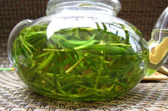 竹葉茶的禁忌，竹葉泡茶的功效禁忌