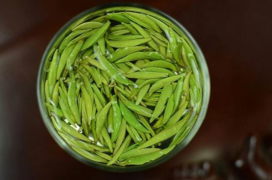 雀舌茶什么人不能喝，雀舌茶的功效與禁忌