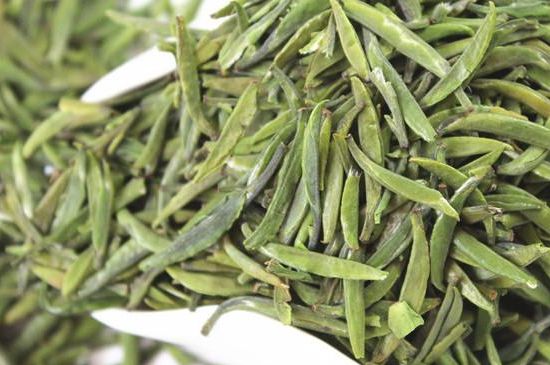 雀舌茶什么人不能喝，雀舌茶的功效與禁忌