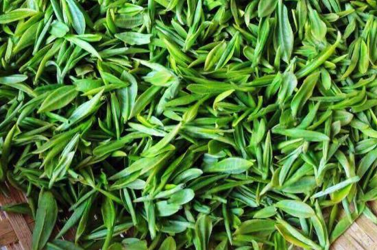 云霧綠茶的功效及禁忌，哪些人不適合喝云霧茶