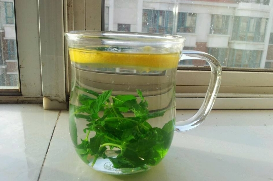 薄荷茶的功效與作用，喝薄荷茶有什么好處？