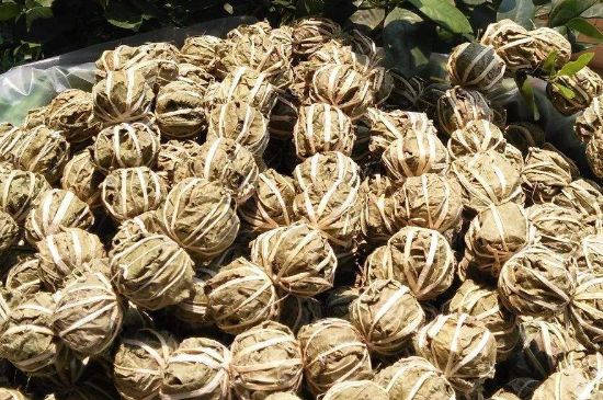 鷓鴣茶的禁忌，海南鷓鴣茶副作用