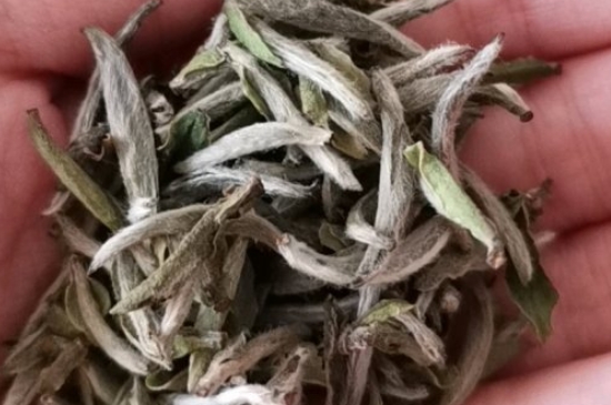 如何買茶葉不上當，怎么買茶葉不被坑？