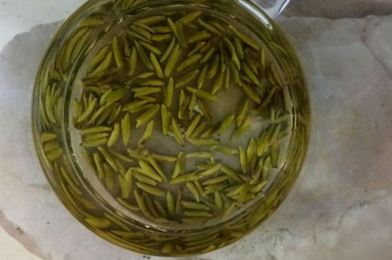 茶葉在哪里買比較好，哪里能買到好的茶葉