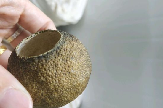 小青柑多少錢一盒，新會小青柑普茶價(jià)格一斤多少