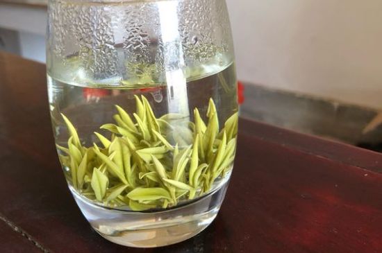 安吉白茶耐寒嗎，白茶適合放冰箱嗎