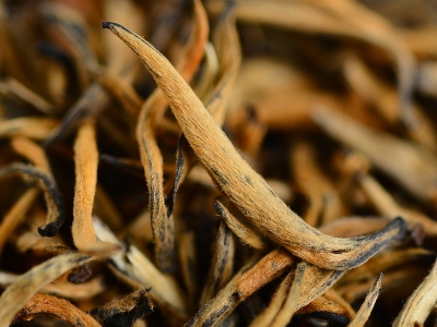 怎么知道什么茶葉適合自己，怎么判斷自己適合喝什么茶？