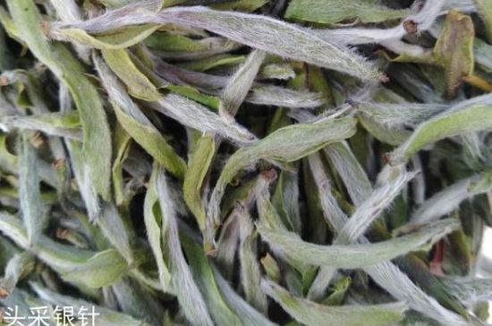 春茶季怎么辨別白毫銀針的好壞，好的白毫銀針如何選購？