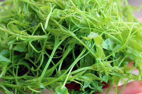 茅巖莓茶保質(zhì)期有多久，張家界莓茶存放時(shí)間長(zhǎng)了還能喝嗎？