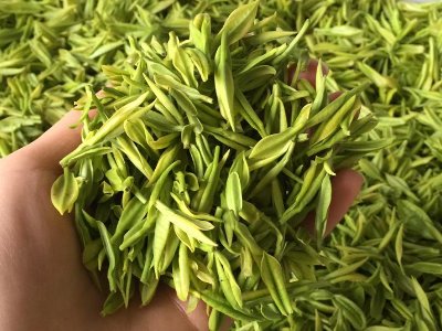 白茶品質(zhì)如何區(qū)分，白茶的優(yōu)劣質(zhì)量辨別方法