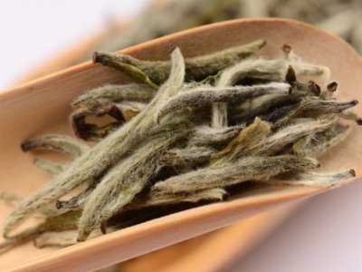 白毫銀針放幾年最好，白毫銀針什么年份最好？