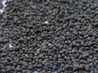 圓形顆粒狀茶是什么茶，像飼料一樣一粒粒的是什么茶？