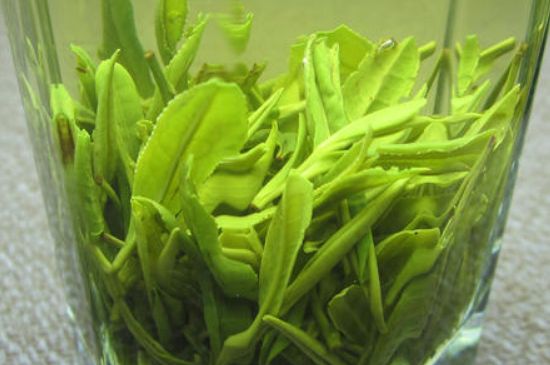 哪種茶葉可以放冰箱，哪些茶不能放冰箱？