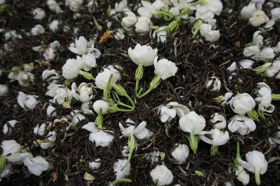 茉莉龍珠怎么做的，茉莉龍珠的制作工藝