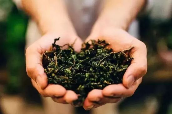 茶葉怎么炒制才香，怎樣炒茶葉更香？
