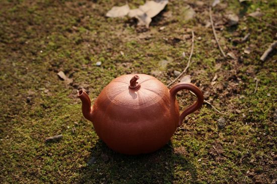 紫砂壺泡什么茶最佳，紫砂壺一般泡什么茶？