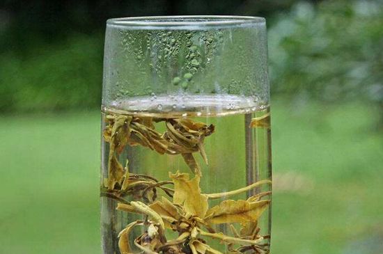 茉莉龍珠什么人不能喝，茉莉龍珠茶什么體質(zhì)不能喝？