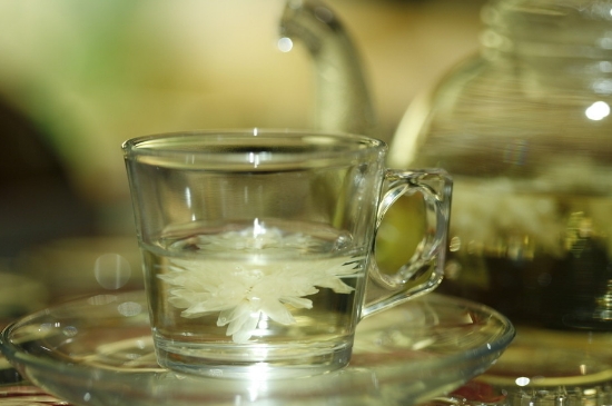 菊花茶天天喝行嗎，每天喝菊花泡茶喝好嗎？