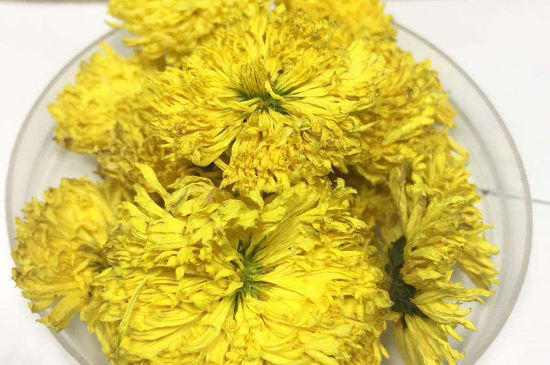 菊花茶大朵小朵有什么區(qū)別，菊花喝大朵還是小朵？