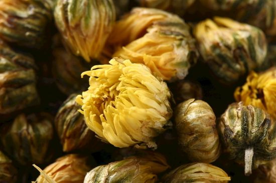 蒲公英搭配大全，蒲公英泡水喝的8種搭配