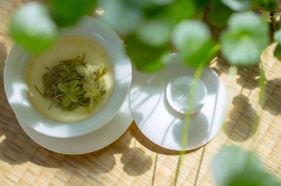 茉莉花茶6種人不要喝，什么體質不適合喝茉莉花茶？