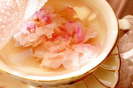 玫瑰花茶一周喝幾次，玫瑰花茶可以天天喝嗎？