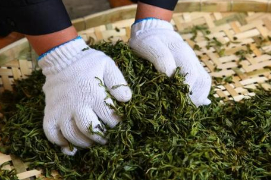 綠茶加工工藝流程圖，綠茶的加工制作包含哪幾個步驟？
