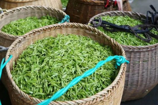 茶葉怎么炒制才香，怎樣炒茶葉更香？