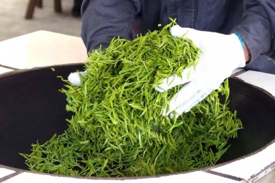 自家炒茶葉怎么炒，自己炒茶葉的步驟