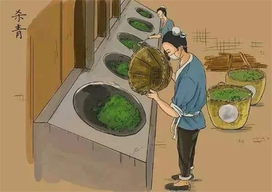 制茶八步驟，制茶工藝流程圖