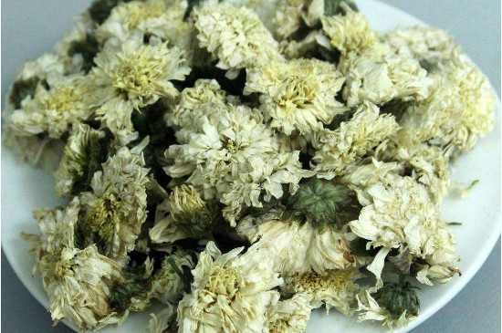 菊花茶買小朵還是大朵，泡茶用的小菊花和大菊花哪個好