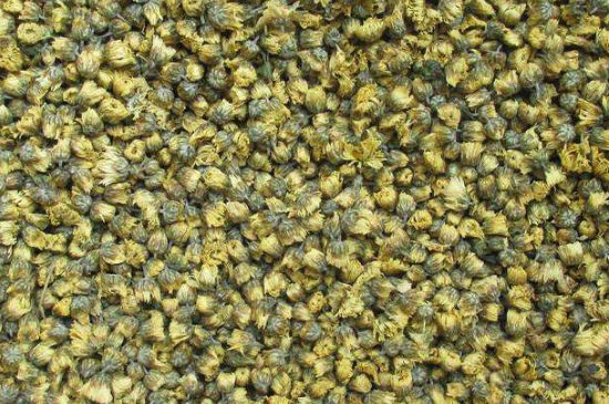 菊花茶大朵小朵有什么區(qū)別，菊花喝大朵還是小朵？