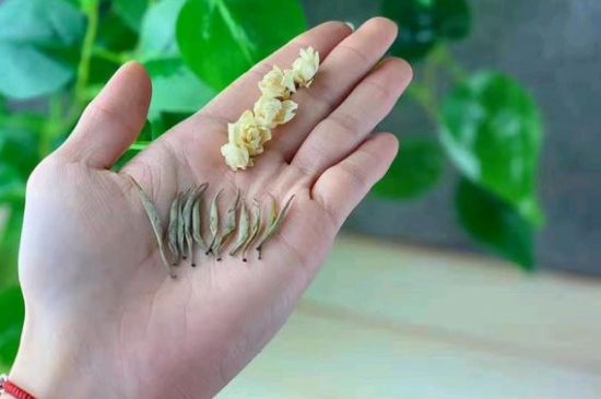 茉莉銀針口感，茉莉銀針是什么味道？