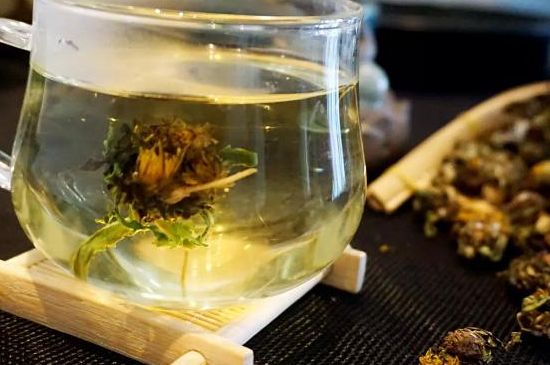 蒲公英最佳搭配，蒲公英茶和什么搭配泡水最佳