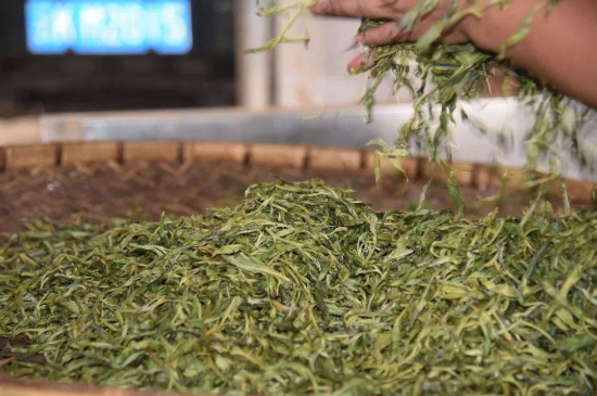 炒青綠茶與綠茶的區(qū)別，烘青和炒青哪個(gè)好喝？