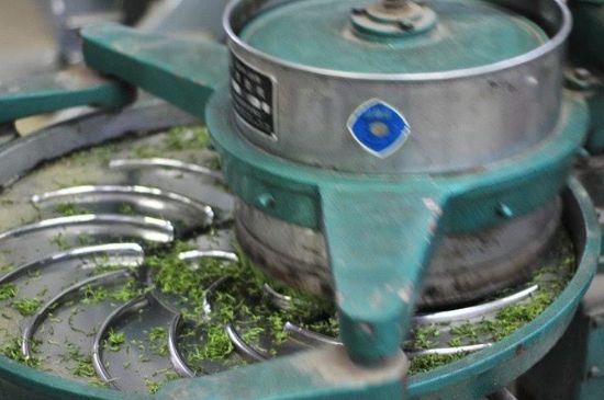 武夷巖茶的初制、精制加工工藝詳細(xì)講解