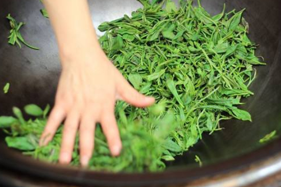 炒青綠茶與綠茶的區(qū)別，烘青和炒青哪個(gè)好喝？